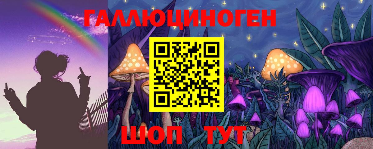 Псилоцибиновые грибы GOLDEN TEACHER  цены   Гуково  Вход с VPN  Псилоцибиновые грибы Cubensis 