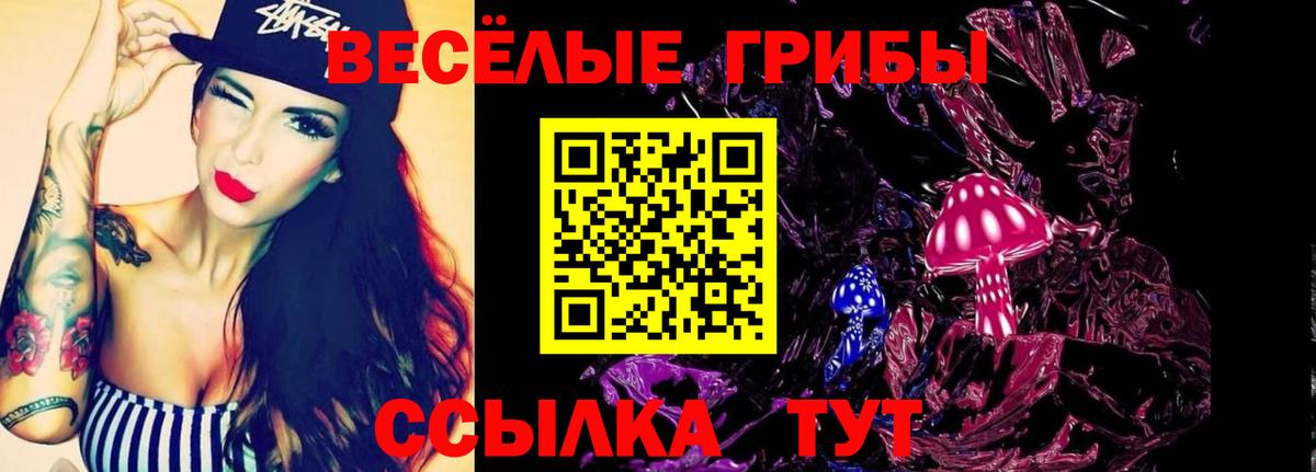Псилоцибиновые грибы GOLDEN TEACHER Гуково